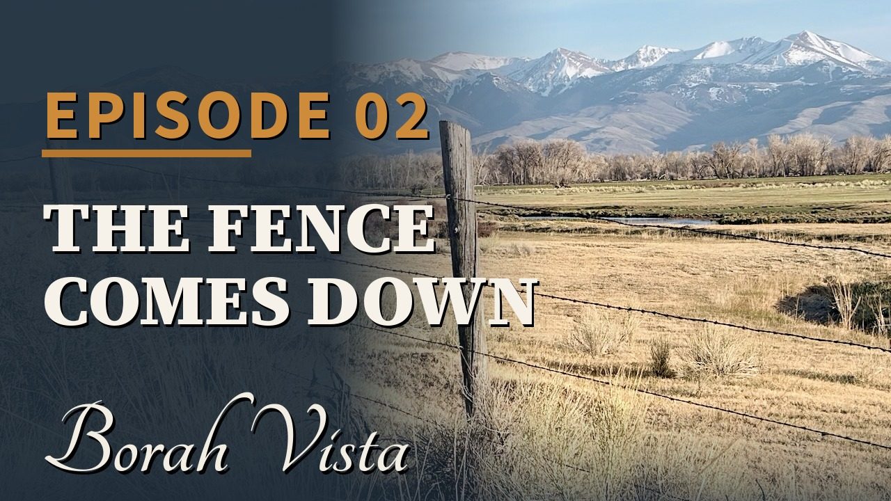 Borah Vista Episode 2 — The Fence Comes Down