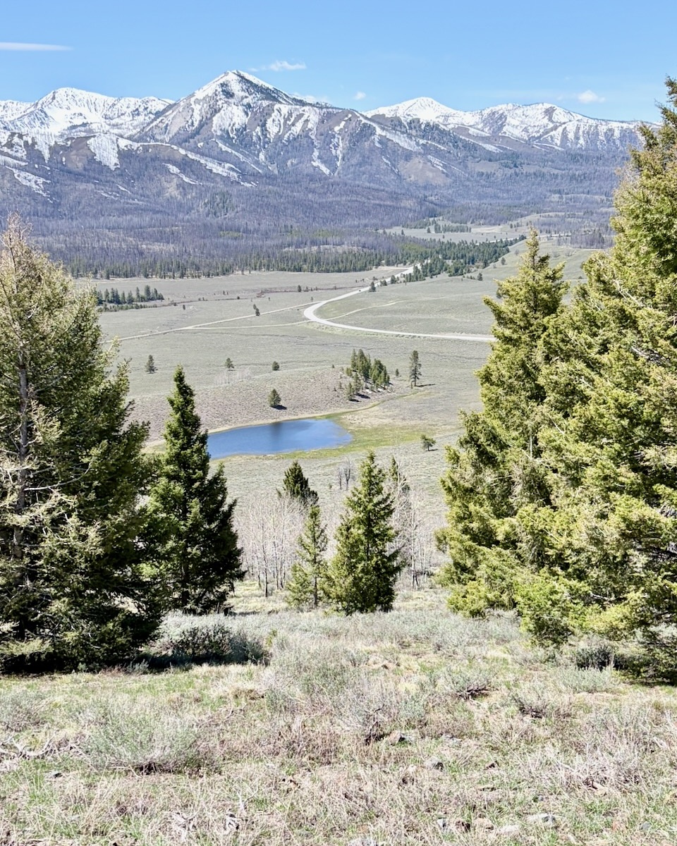 Salmon River country north of Mackay